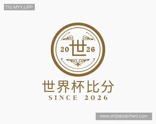 介绍世界杯比分
